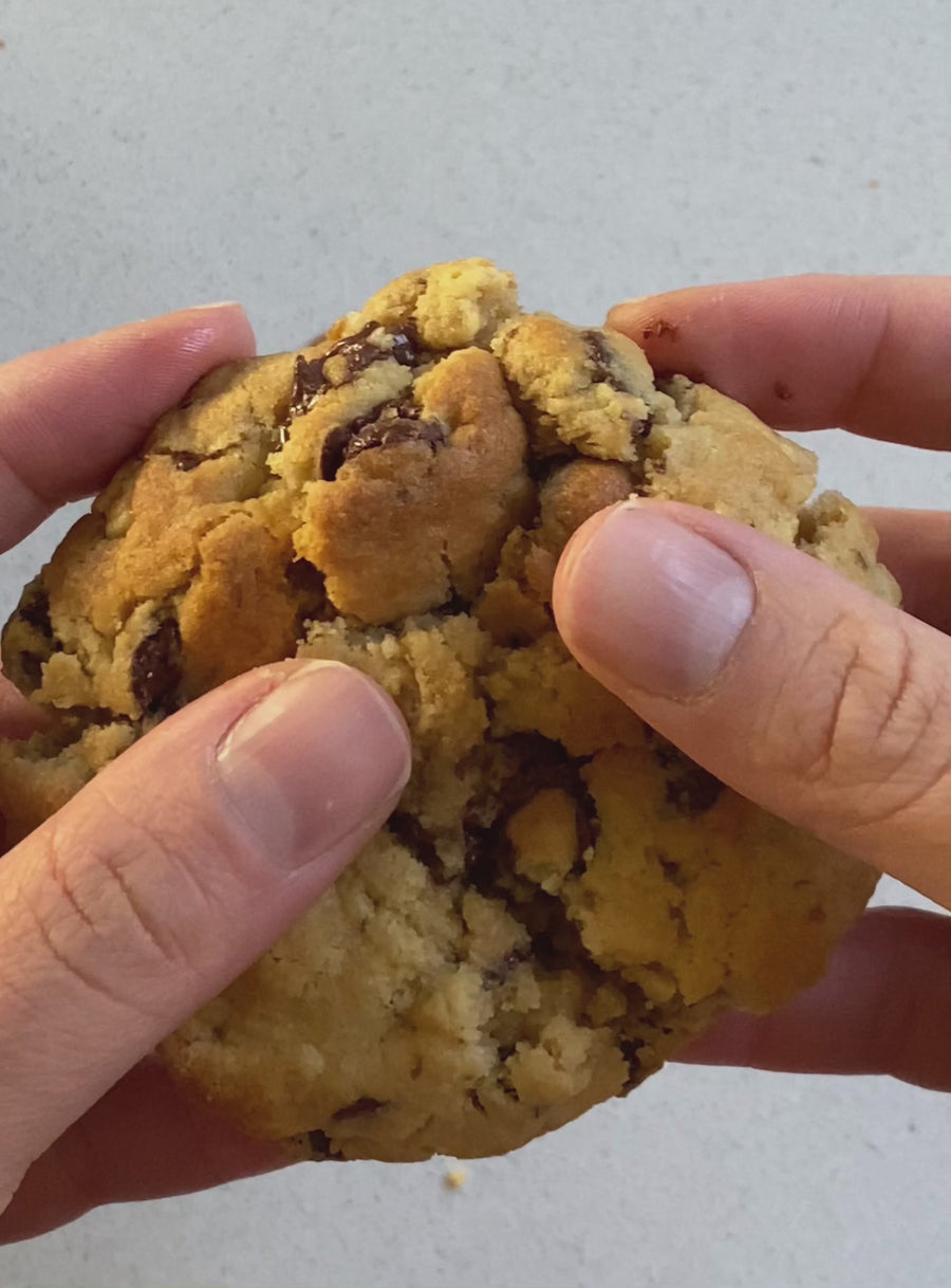 Choc Chip & Walnut - Single